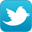 DailyCollegeFootball.com Twitter Account logo
