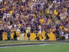 LSU Tigers running backs on the prowl tomorrow night at Death Valley