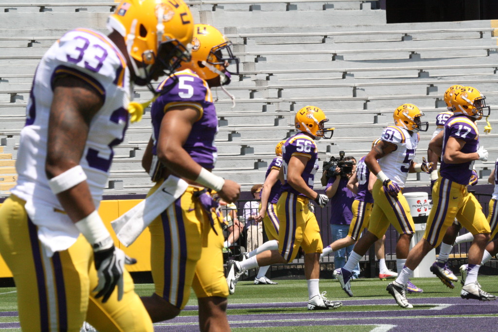 The Tigers running on to the field.