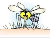 The mosquitoes in the South…… and AFLAC