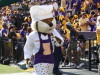 Mike The Tiger cooking up some Gator in Tiger Stadium.