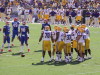 More pics of the LSU vs Florida Game.