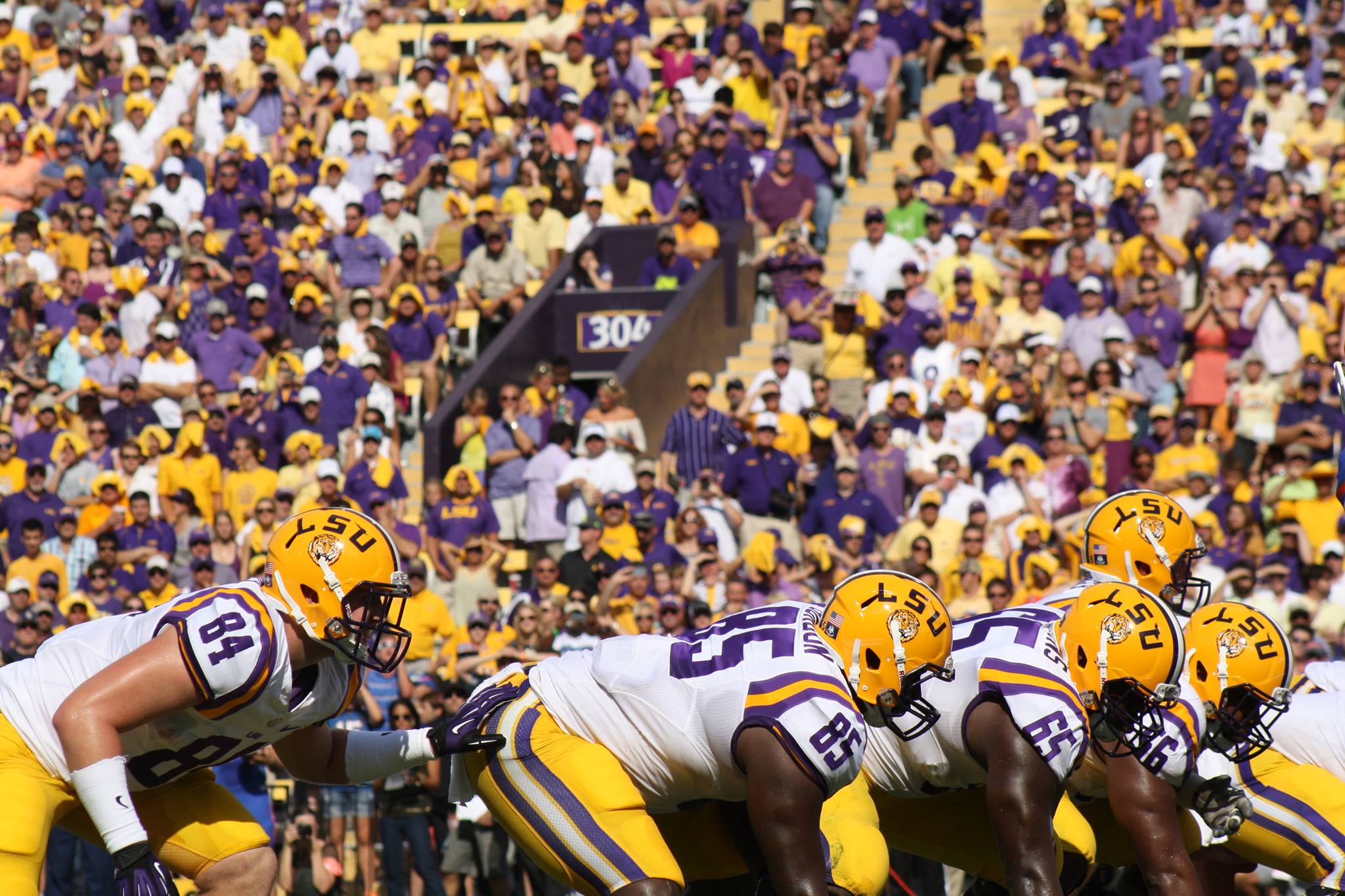 881964_650506658326795_2071863021_o