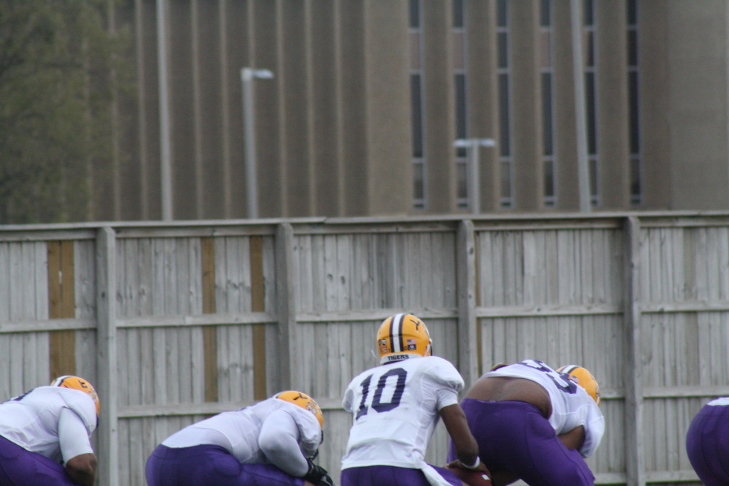 QB Anthony Jennings waits for the snap.
