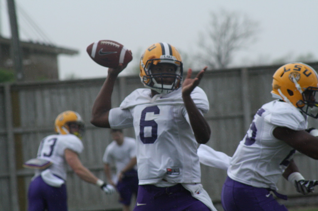 QB Brandon Harris draws back....