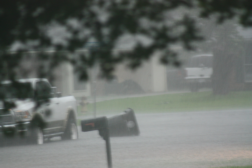 There goes the neighbors garbage can....  